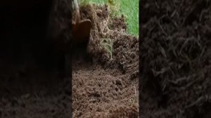 Волосы,как удобрение