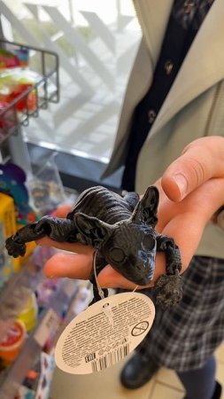 А у вас уже есть 3Д кот?