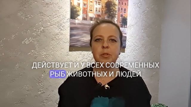 Лишний вес - откуда он и что делать смотреть онлайн