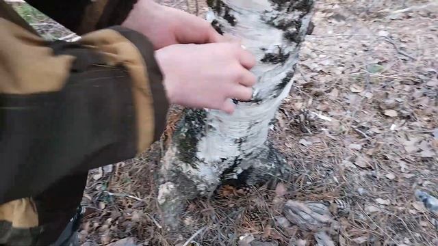 Как собрать Берëзовый сок смотреть онлайн