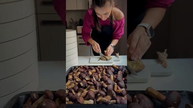 Как сохранить 5 кг ГРИБОВ🤯 #грибы #грибысушеные #грибы смотреть онлайн