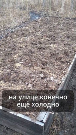 🔥 "9 МАЯ: Дачный старт, грядки под снегом и первый шашлык сезона! 🥕🔥"