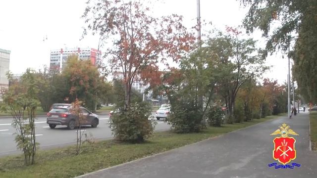 Курьера аферистов, которые убедили жителя Кемерова вз смотреть онлайн