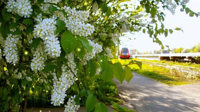 А ты забыл!!!Татьяна Козловская!!!Тамара Каптюхова!!! смотреть онлайн