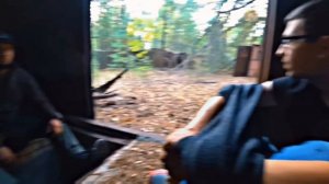 Креосан Эдит