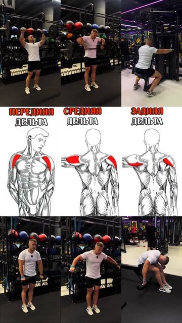 🔥ПЛЕЧИ - КАК ПРОКАЧАТЬ ПОЛНОСТЬЮ?! смотреть онлайн