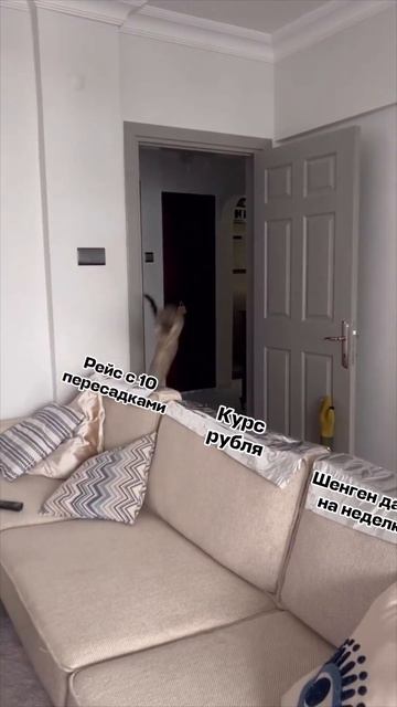 Подпишись на @aviasales 👆Ха-ха, сейчас что-то глаза намокли 🥺 #aviasales #авиасейлс #дешевыебилеты смотреть онлайн