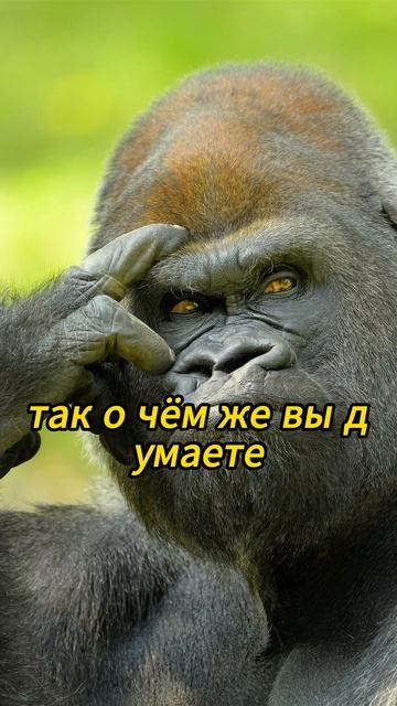 Интересные факты про каждый знак зодиака! #тикток  #фак