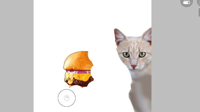 кошка ест бургер #кошка #бургер #асмр смотреть онлайн