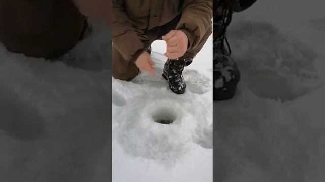 все тот же 2021.присутствует мат,без обид.💪 смотреть онлайн