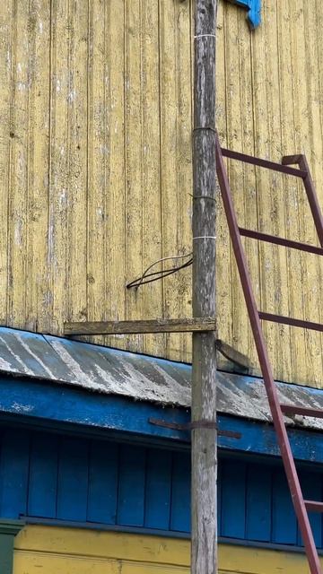 Недорогой комплект ИНТЕРНЕТА в деревне 🛜 В итоге ско? смотреть онлайн