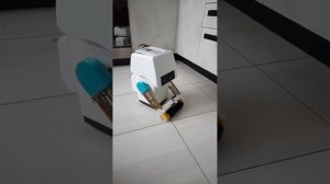 Самодельный робот пылесос Mo из мультфильма Walle