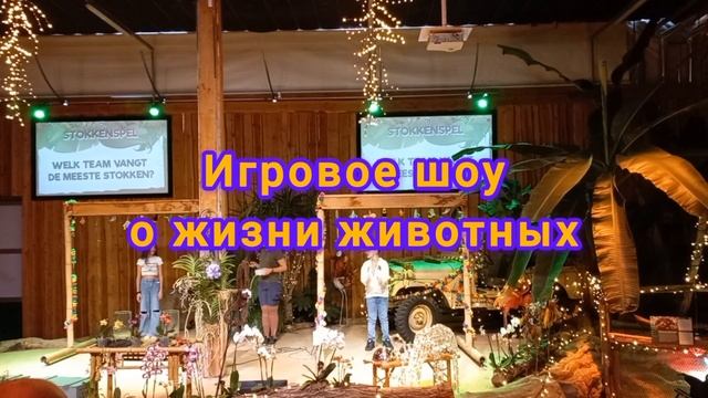 Нидерланды + Самое экзотическое место. Отдых с детьми.