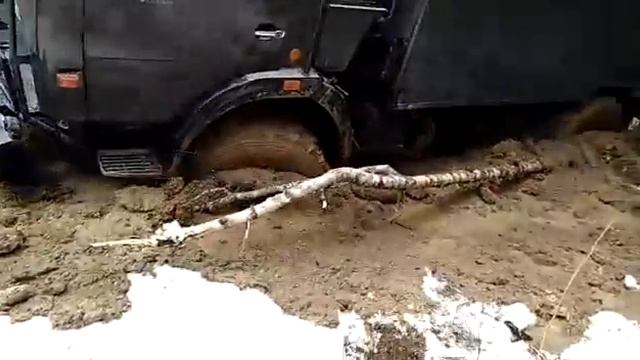 Май 2017 Сыктывкар