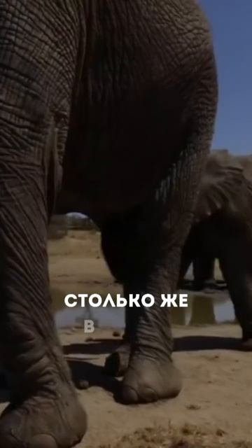 Средний вес облака достигает 500тонн! смотреть онлайн