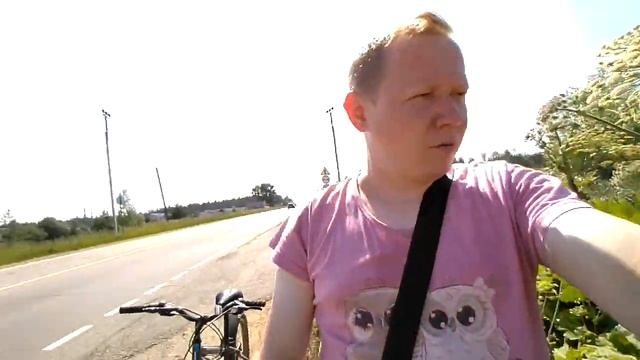 Дмитрий Гаврилкин - Товарищ Борщевик Снова В Деле - 2024 смотреть онлайн