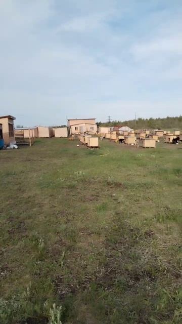 Приезжайте к нам в приют! мы всегда рады гостям! 
#саратов #вдобрыерукисаратов #верностьсаратов