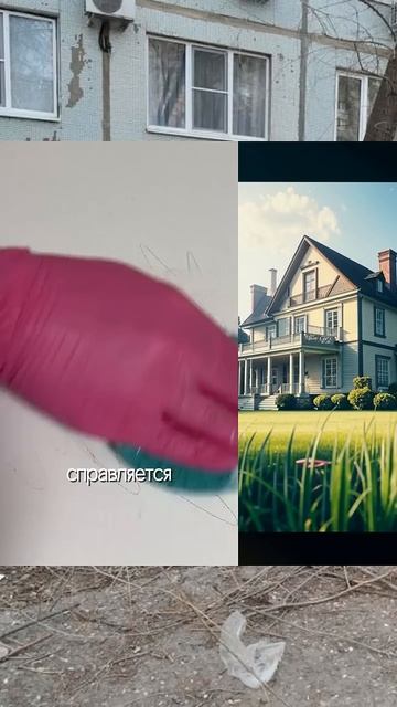 wb #226672972 Порядок в каждом углу # выручай_паста #wb219 !! смотреть онлайн