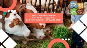 Запись семинара от 7 мая 2025 года