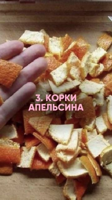 Что должно быть в холодильнике у беременной при токси?