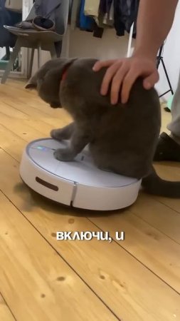 ТЕБЕ ТОЧНО НУЖНЫ ЭТИ ГАДЖЕТЫ