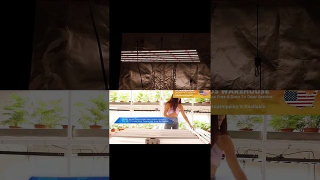 Диодные лампы для гроу бокса гидропоники любой мощнос