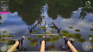 Медное озеро • Ловим карпов кои • Русская Рыбалка 4