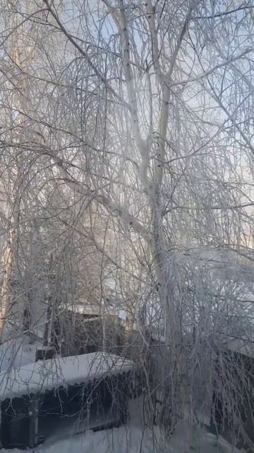 Мороз жуткий. Мы живы и остались одни на планете. Мы, со