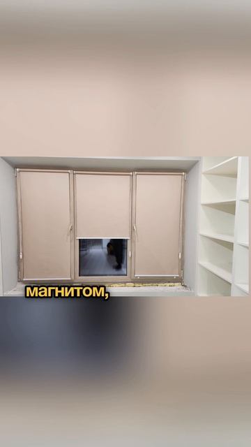 Шторы на заказ по вашим размерам. #рулонныешторы #жалюзинаокна #уютныйдом #шторы #жалюзи