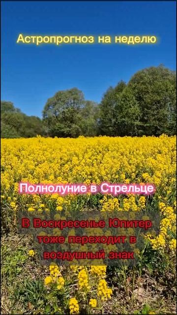 #Астрологический_прогноз_на_неделю с 20 по 26 мая. Полнол