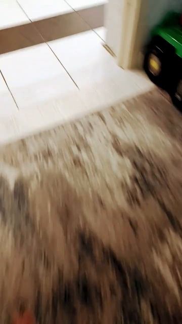 1 августа 2024 г. смотреть онлайн