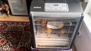 Высушил абрикосы и малину! Обзор сушилки для овощей и ?