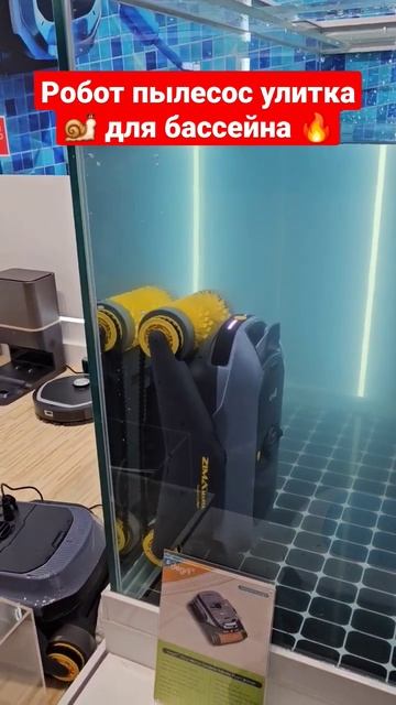 КАНТОНСКАЯ ВЫСТАВКА В ГУАНЧЖОУ 2024🔥🔥🔥 #китай #shortvideo смотреть онлайн