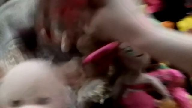 Супер Смэш Брос серия 16 Зелёный Холм