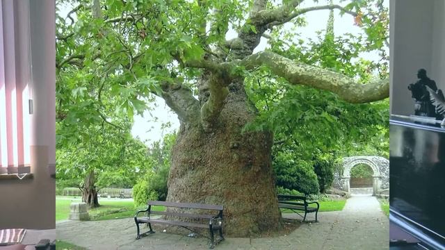 Фестиваль Народного университета "Время жить": Часть 1-я "Открытие и презентация факультетов". смотреть онлайн