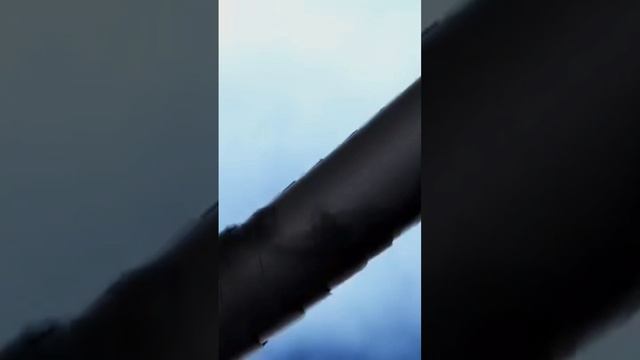 ФЕН VGR V-1000 #barbershop #vgrelectronics #barber #vgr смотреть онлайн