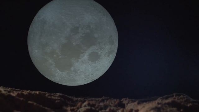 - Где свинина? Я открывала холодильник - одни пакетики ? смотреть онлайн