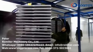 Вакуумная сублимационная сушилка для овощей