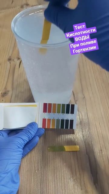 Кислотность воды при поливе гортензии🌿 #саженцыгорт? смотреть онлайн