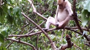 Утренний стояк