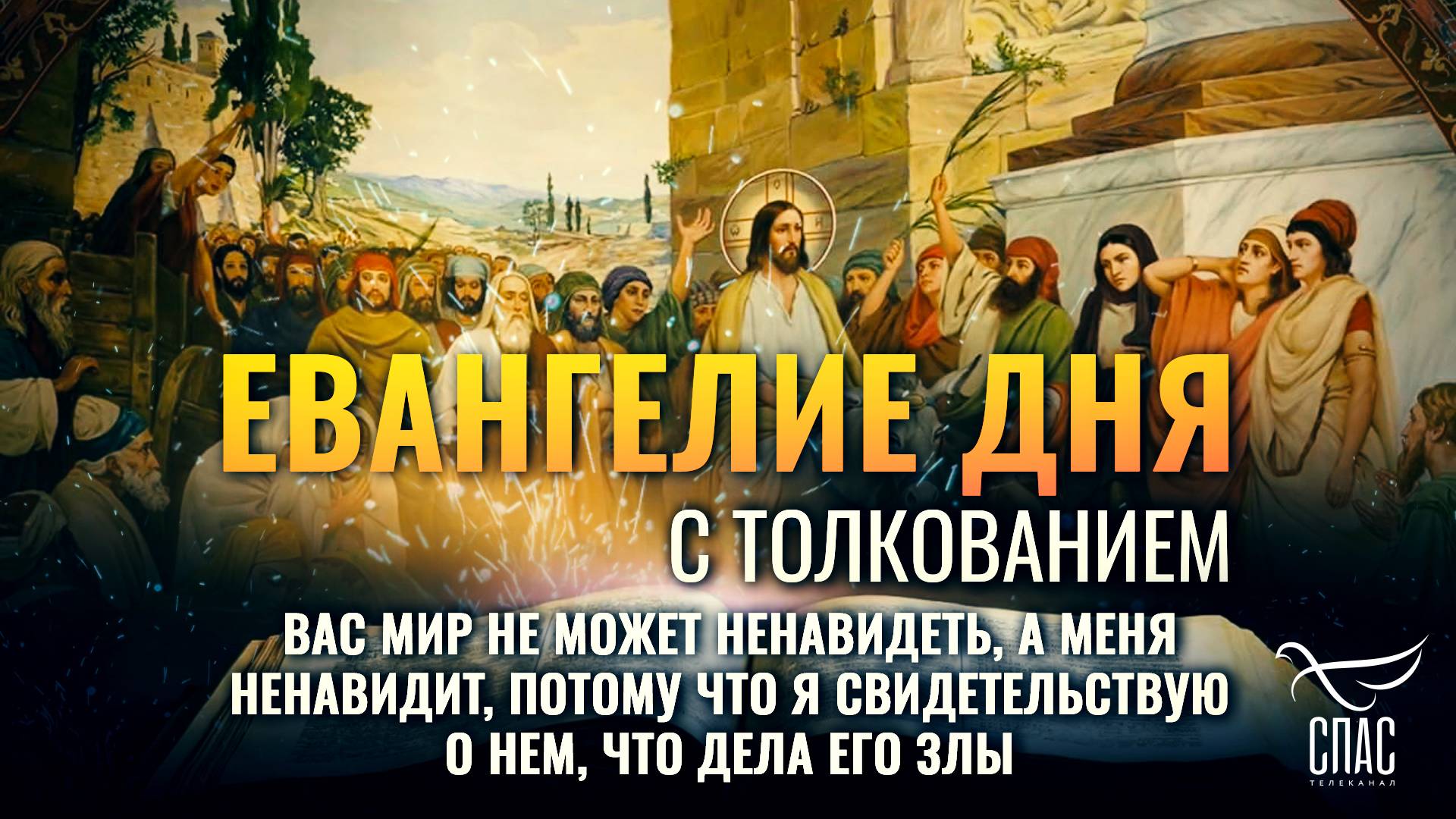 Вас мир не может ненавидеть, а Меня ненавидит, потому что Я свидетельствую о нем. / Евангелие дня