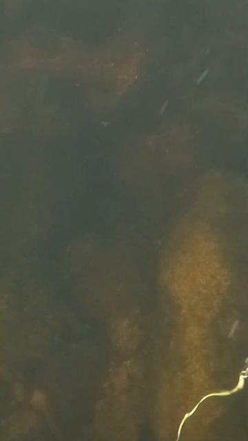 Дно реки радует северная река смотреть онлайн