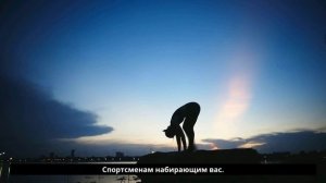 Протеин сывороточный vs растительный — что лучше NoDaysOff