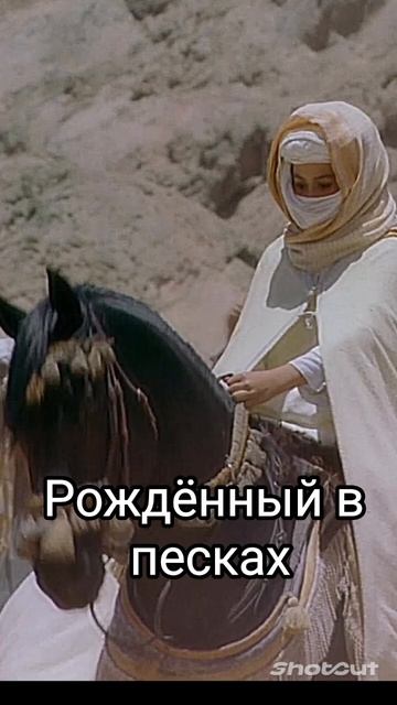 Фильмы про лошадей смотреть онлайн