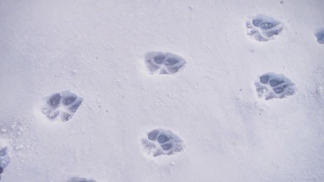 ✨Спокойной ночи, малыши✨011/2025 О чем рассказал снег