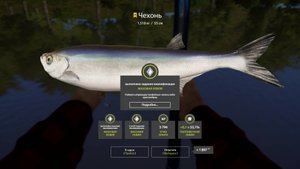 ТРОФЕЙ ЧЕХОНЬ СЕВЕРСКИЙ ДОНЕЦ - РУССКАЯ РЫБАЛКА 4