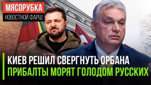 Раскрыт заговор СБУ против Орбана || Прибалты лишили денег русских | Шахматы запретили в Афганистан