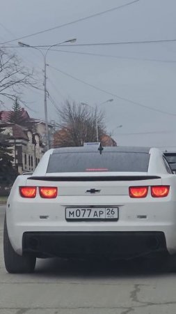 22 марта 2025 г.