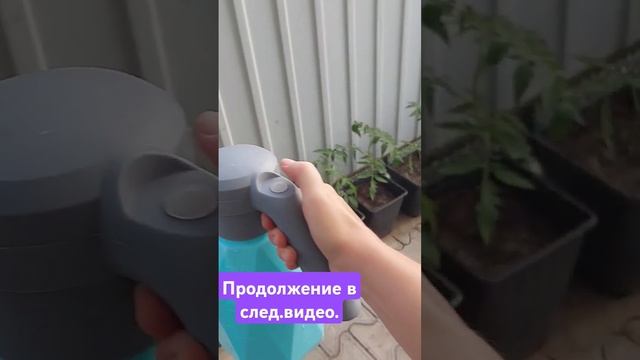 как выглядит вершинная гниль у томатов и что делать смотреть онлайн