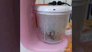 готовим на блендер пароварке Kitfort